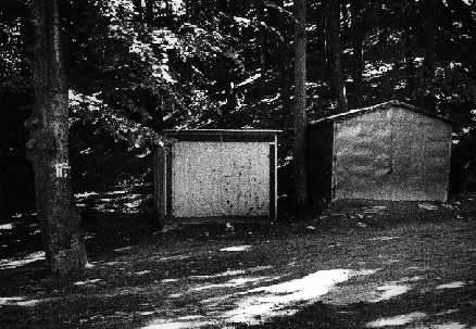 Fot. z wystawy ''Wdrwka po Trjmiejskim Parku Krajobrazowym'', Gdask 1988