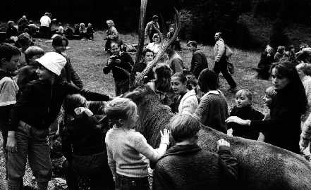 Tatry, Dolina Stryska 1987