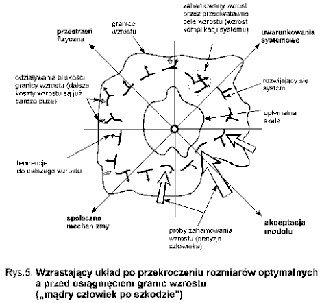Rys.5