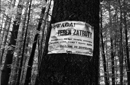Fot. z wystawy ''Wdrwka po Trjmiejskim Parku Krajobrazowym'', Gdask 1988
