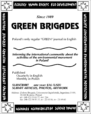 advertisement GREEN BRIGADES