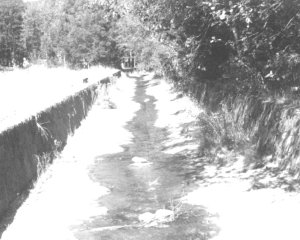 ''Canalized'' river in Beskidy mountains