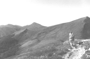 Typical landscape in the Bieszczady mountains