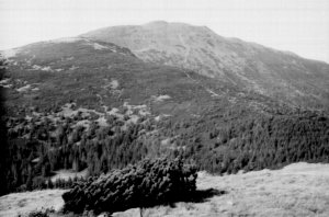 The Babia Gra mountain, 1725 m above the sea level