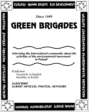 advertisement GREEN BRIGADES