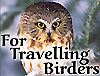 Travelling Birders