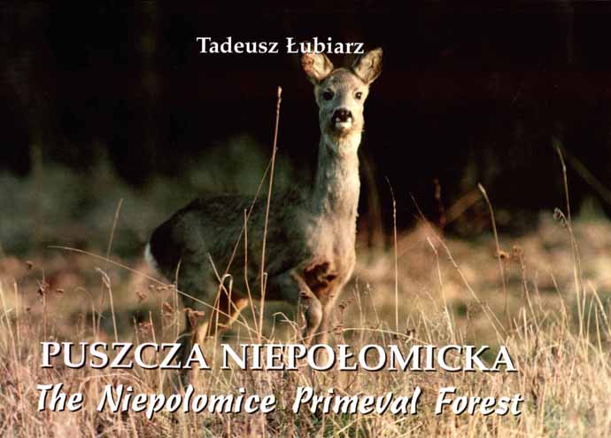 Sarenka � obrazek tytu�owy