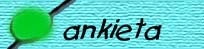 Ankieta