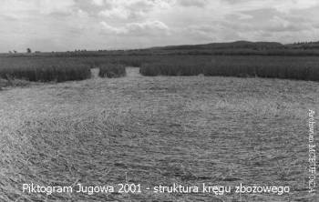 foto 1: Piktogram Jugowa 2001 - struktura krgu zboowego