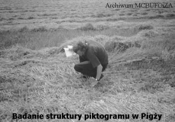 foto 2: Badanie struktury piktogramu w Pigy